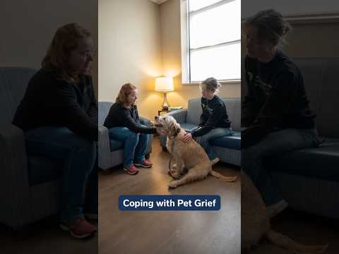 Coping with Pet Grief