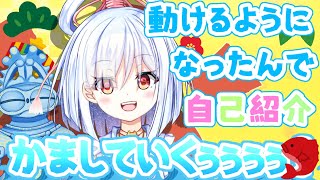 【水餅ちゃのゆと土偶のノノムラ】動けるようになったんで自己紹介かます！！！【バ美肉】【自己紹介】