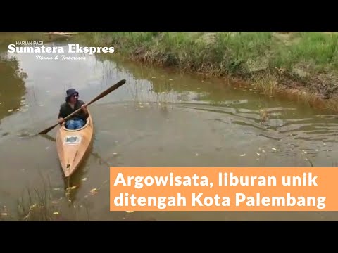 Agrowisata ala Desa di Tengah Kota Palembang