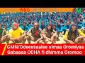 GMN/27/03/2024 Odeessaalee Olmaa wbo fi Oromiyaa ,balaa somaaliyaa. dararaa uummata oromo,ibsa OCHA