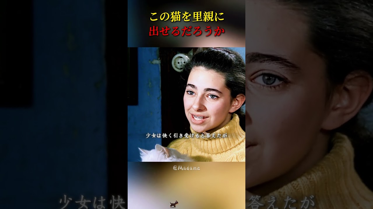 老人は猫に新しい家を見つけられるだろうか #movie #映画