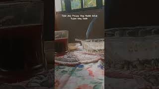 Download lagu Status wa || mari kita nikmati segelas kopi mp3