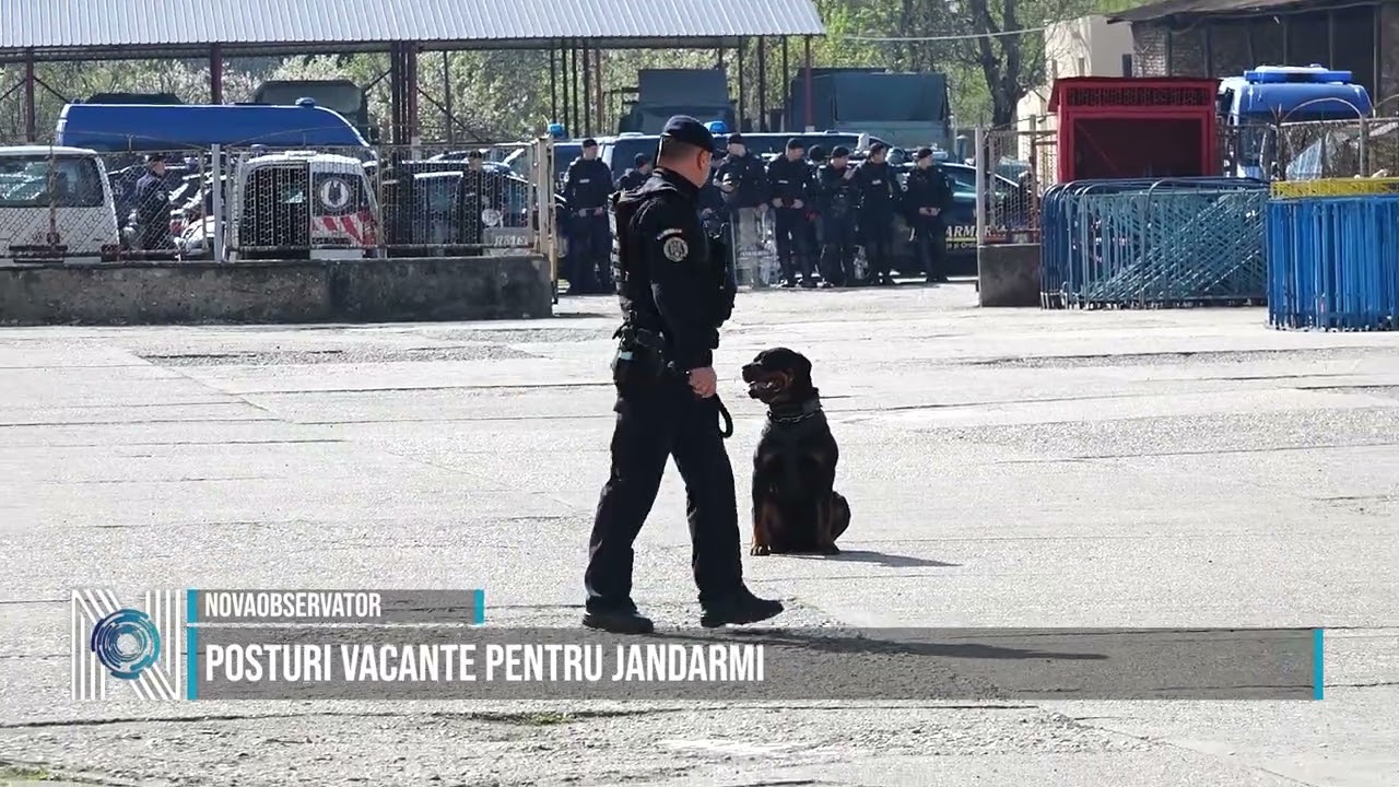 Posturi vacante pentru jandarmi