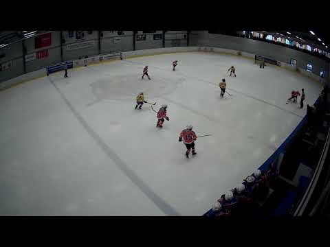 MŽA HC Lvi ČB. -  HC Veselí nad Lužnicí I. tř. Březen 2019