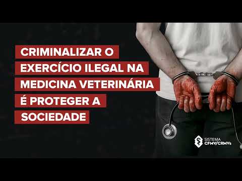 CFMV PEDE APOIO AO PL 7323/2014 - Falsos médicos-veterinários estão colocando vidas em risco.