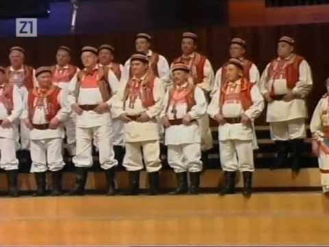 Oj ti vilo, vilo Velebita (Vila Velebita)