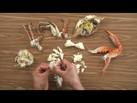 Learn to Pick like a Pro!