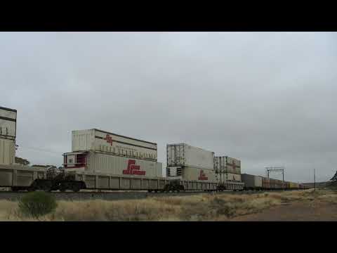 SCT006 and SCT011 5PM9