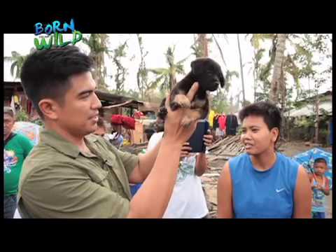 Born to be Wild August 3, 2014