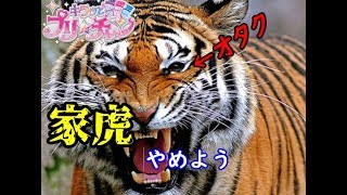 【キラッとプリ☆チャン】ひとりでエール、送ってみた！【筐体実況】
