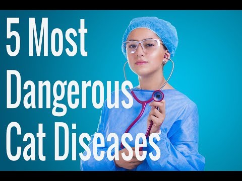 5 MOST  DANGEROUS CAT DISEASE || CAT DISEASES