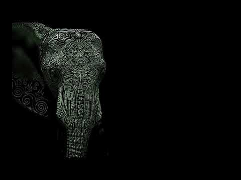 Vikkei & CitronHead - Eleven Elephants