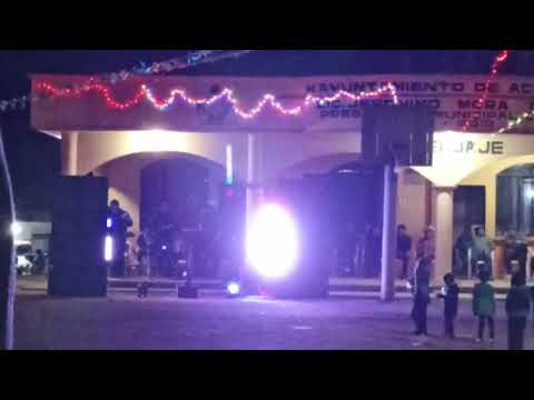 Los viables de la sierra ( colonia tepehuaje Gro 2026)