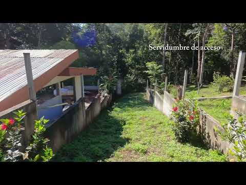 img-video
