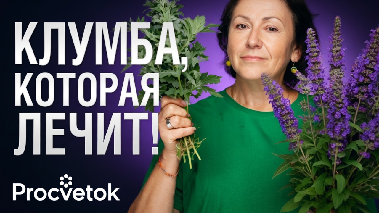 ПОСАДИТЕ ИХ ВМЕСТО ПРИВЫЧНЫХ ЦВЕТОВ! Красивый и полезный пряный цветник