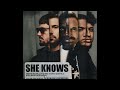 Dimitri Vegas & Like Mike x David Guetta x Afro Bros - She Knows (with Akon) [Extended Mix]
