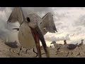 GoPro Seagull Feeding Frenzy Up Close JOOGSQUAD PPJT