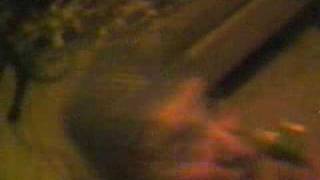 Gotta Boogie By Weird Al Yankovic  and Tonzatonka