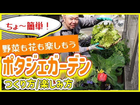 屋内芳香植物 2023