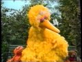 Sesame Street Big Bird Shows Between