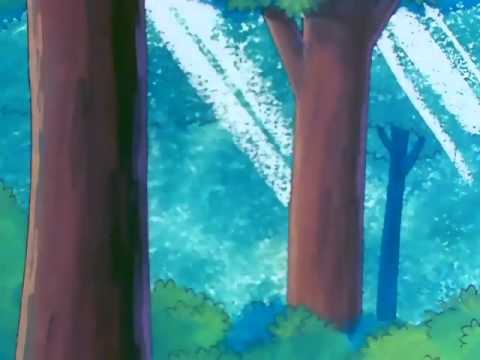 Pollon   13   I fanghi di Afrodite