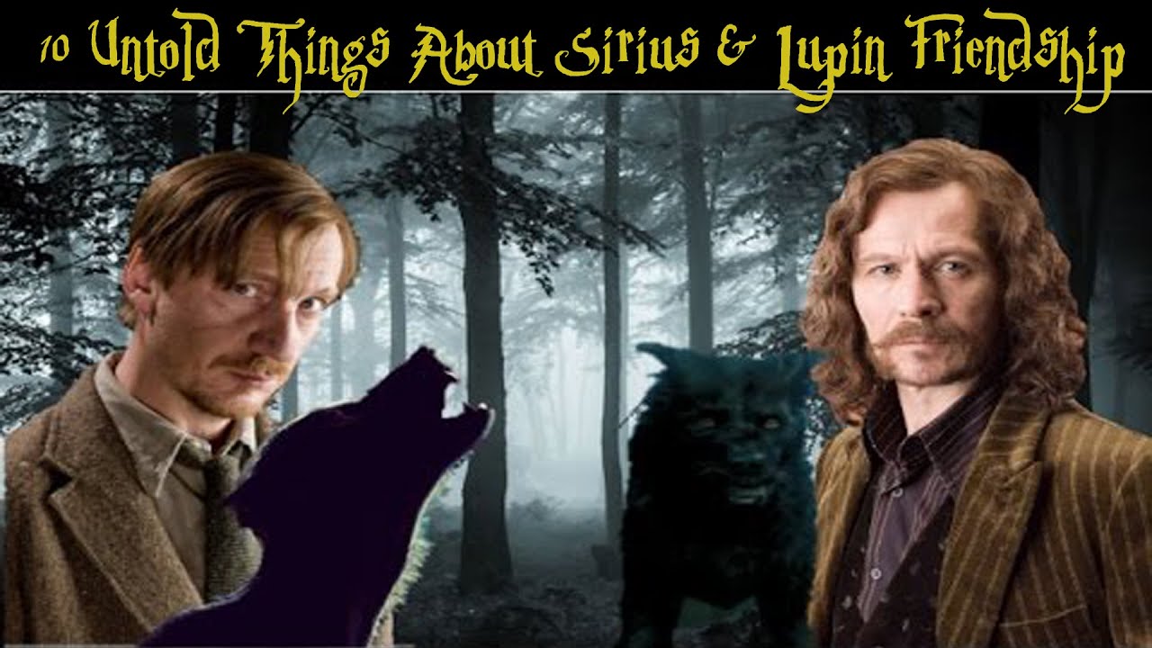 10 Important Details You Didn't Know About Sirius and Remus's Friendship