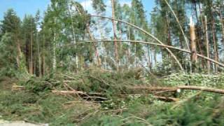 preview picture of video 'ураган в сосново. ленобласть'