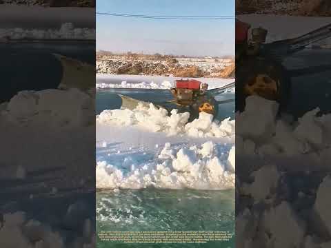 Clearing the Path: How a Mini Tractor Transforms Winter Work