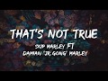 Skip Marley - that's Not True (Lyrics) ft Damian 'Jr. Gong' Marley Lyrics