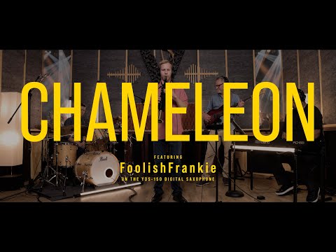 Chameleon - An Ampersound Session with FoolishFrankie