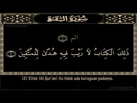 Surah Al Baqarah Serta Terjemahan (Ayat 1 - 5)
