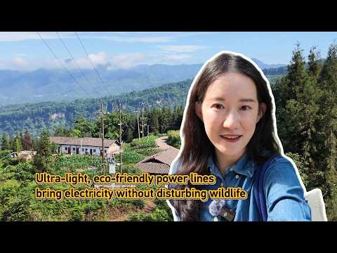 Eco-friendly power lines bring electricity without disturbing wildlife