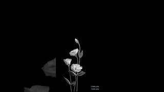 Download lagu Story wa music 'i hate you, i love you' mp3