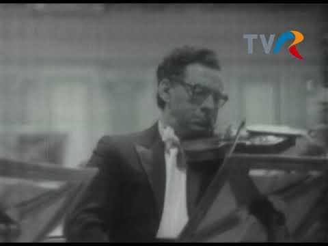 Ion Voicu și Ștefan Ruha