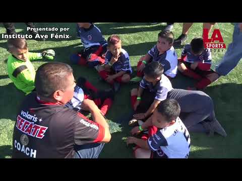 Xolos vs. Gallitos en final de Ponys Cup LA 2018