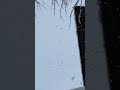 ️ Light Fluffy And Big Snow Flakes Snowfall ️