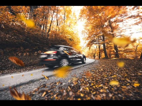 Những chặng đường xa - Hồng Tước