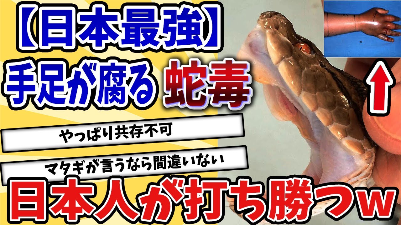 【2ch動物スレ】日本人が猛毒ハブに打ち勝った驚きの治療法がやばいw