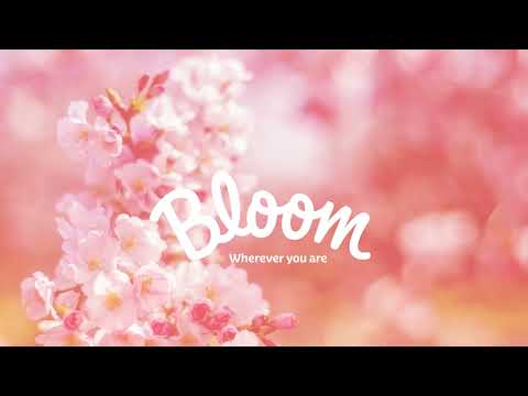 Kleenex Ultra Soft Moments Limited Edition Facial Tissues