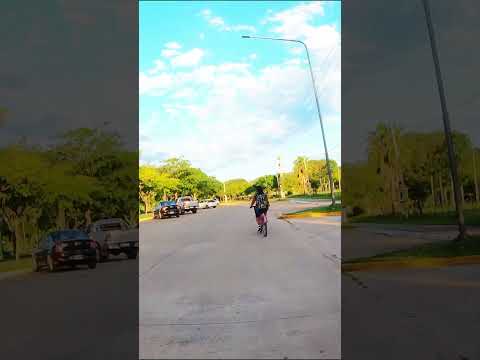 🌿🇦🇷 Argentina Travel Tour: A Calm Walk Through Parque de la Democracia | Resistencia 4K 🚶‍♂️✨