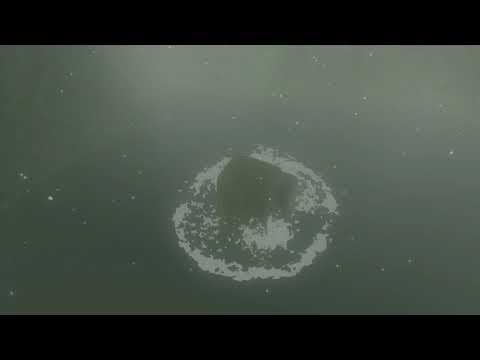 TLoZ: BotW Gameplay - EX Champion Revali's Song - Trial 3 - Shoot four targets to win