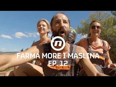 Luda zabava na imanju - Epizoda 12 | Farma More i Maslina
