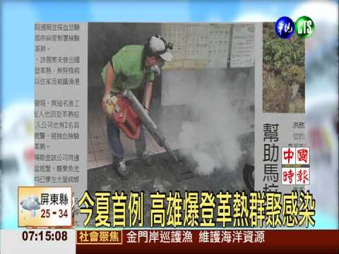 今夏首例 高雄爆登革熱群聚感染
