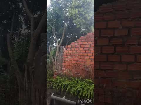 Tempo tranquilo aqui em Cachoeirinha-RS!#cicloneextratropical