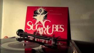 Sugarcubes - Leash Called Love - Vinyl - at440mla - Stick Around for Joy - Bjork