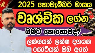 2025 වෘශ්චික ලග්නේ ඔබට නොවැම්බර් මාසය කොහොමද