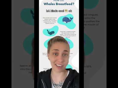 Onlyjayus Tik Tok ~ a collection of the best Coltyy videos from Tik Tok #Onlyjayus #tiktok #Bella