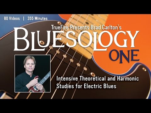 Blues Techniques - #1 Intro - Guitar Lesson - Brad Carlton