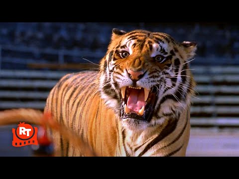 Double Team (1997) - Jean-Claude Van Damme Fights a Tiger! Scene | Movieclips