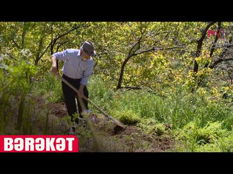 BƏRƏKƏT 30.04.2026